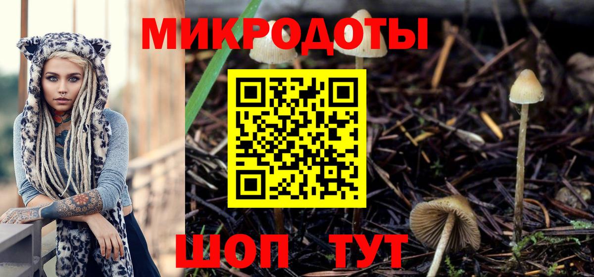 Советская Гавань  Псилоцибиновые грибы Psilocybe  Вход с VPN 